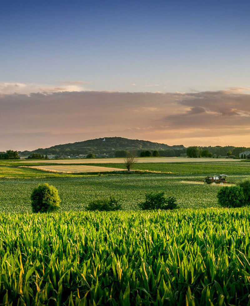 Heuvelland Kemmelberg
